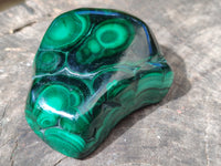 Polished Flower Banded Malachite Free Forms x 6 From Congo