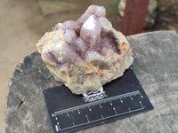 Natural Mixed Spirit Quartz and Amethystos Clusters x 9 From, South Africa