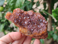 Natural Mixed Spirit Quartz and Amethystos Clusters x 9 From, South Africa