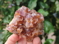 Natural Mixed Spirit Quartz and Amethystos Clusters x 9 From, South Africa