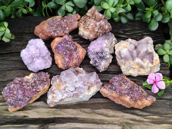 Natural Mixed Spirit Quartz and Amethystos Clusters x 9 From, South Africa