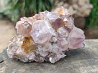Natural Mixed Spirit Quartz and Amethystos Clusters x 9 From, South Africa