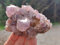 Natural Mixed Spirit Quartz and Amethystos Clusters x 9 From, South Africa