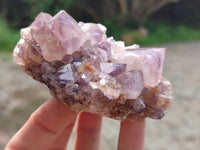 Natural Mixed Spirit Quartz and Amethystos Clusters x 9 From, South Africa