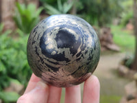 Polished Rare Pharaoh Stone Pyrite in Basalt Spheres x 2 Iron Duke Mine, Zimbabwe