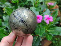 Polished Rare Pharaoh Stone Pyrite in Basalt Spheres x 2 Iron Duke Mine, Zimbabwe
