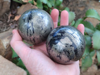Polished Rare Pharaoh Stone Pyrite in Basalt Spheres x 2 Iron Duke Mine, Zimbabwe