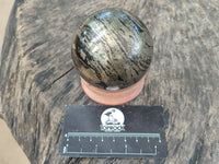 Polished Rare Pharaoh Stone Pyrite in Basalt Spheres x 2 Iron Duke Mine, Zimbabwe
