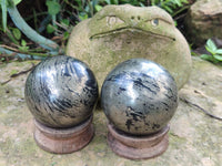 Polished Rare Pharaoh Stone Pyrite in Basalt Spheres x 2 Iron Duke Mine, Zimbabwe