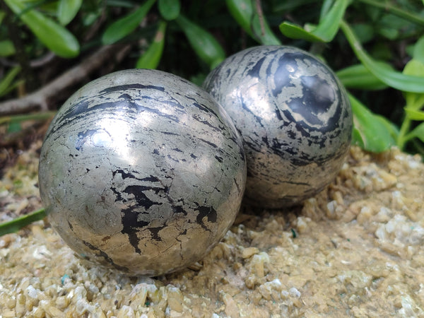 Polished Rare Pharaoh Stone Pyrite in Basalt Spheres x 2 Iron Duke Mine, Zimbabwe