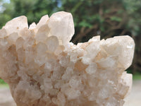 Natural White Cascading Candle Quartz Clusters x 3 From Madagascar