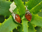 Polished Baltic Amber Earring and Pendant Sets on Sterling Silver - Sold Per Set - From Poland - Toprock Gemstones and Minerals 