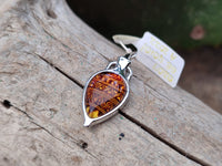 Polished Baltic Amber Earring and Pendant Sets on Sterling Silver - Sold Per Set - From Poland