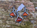 Polished Baltic Amber Earring and Pendant Sets on Sterling Silver - Sold Per Set - From Poland - Toprock Gemstones and Minerals 