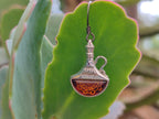 Polished Baltic Amber Earring and Pendant Sets on Sterling Silver - Sold Per Set - From Poland - Toprock Gemstones and Minerals 