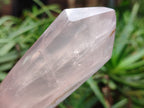 Polished Double Terminated Rose Quartz Points x 6 From Ambatondrazaka, Madagascar - Toprock Gemstones and Minerals 