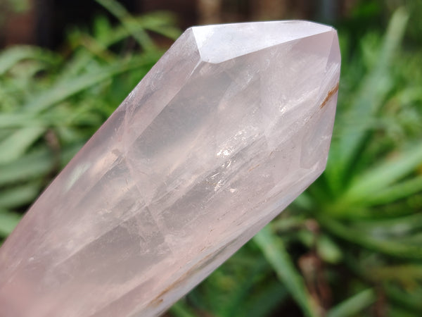 Polished Double Terminated Rose Quartz Points x 6 From Ambatondrazaka, Madagascar