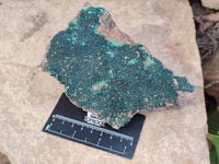 Natural Crystalline Botryoidal Malachite Specimens x 2 From Tenke Fungurume, Congo - Toprock Gemstones and Minerals 