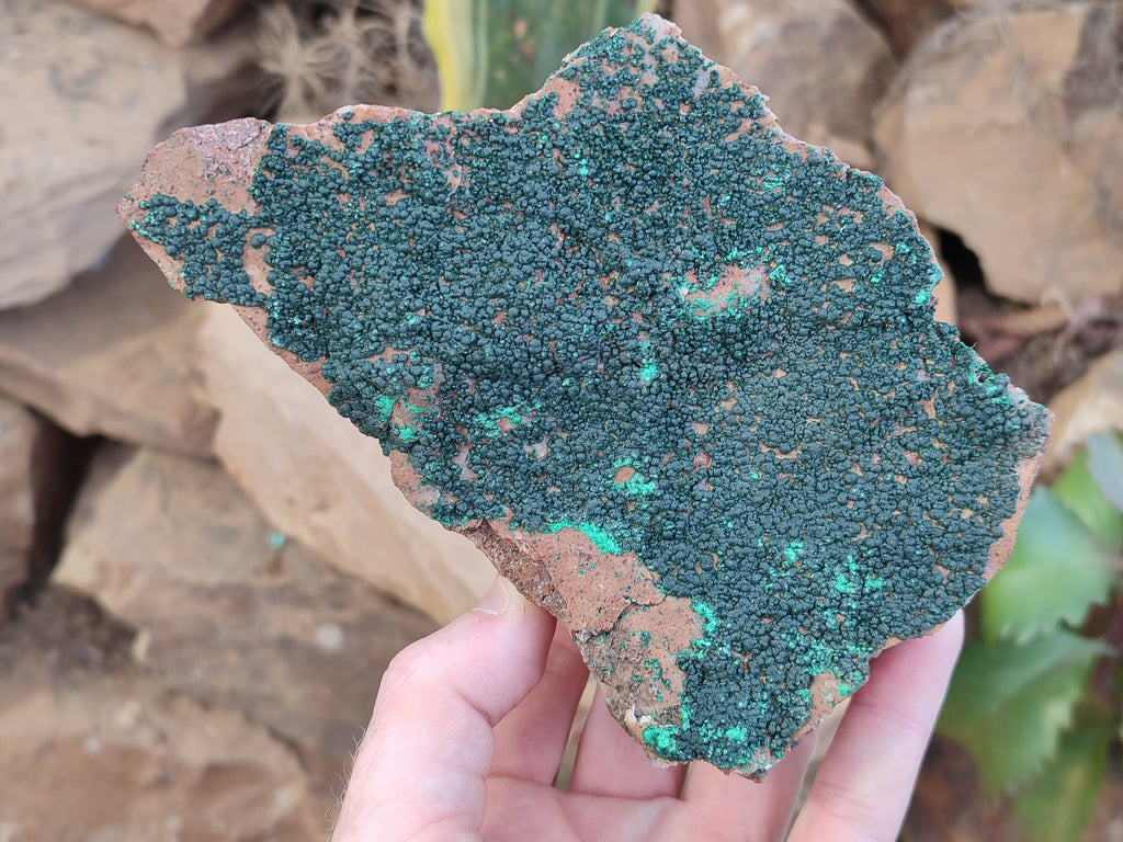 Natural Crystalline Botryoidal Malachite Specimens x 2 From Tenke Fungurume, Congo - Toprock Gemstones and Minerals 