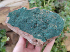Natural Crystalline Botryoidal Malachite Specimens x 2 From Tenke Fungurume, Congo - Toprock Gemstones and Minerals 