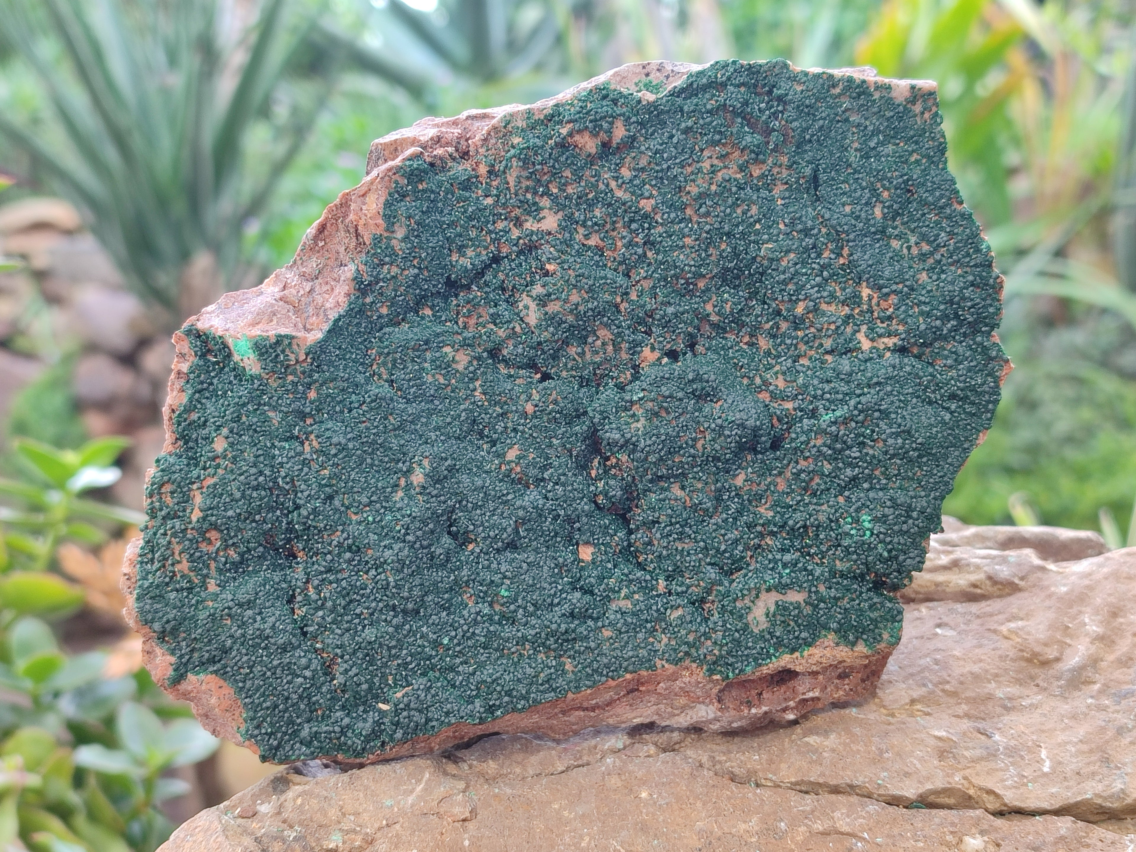 Natural Crystalline Botryoidal Malachite Specimens x 2 From Tenke Fungurume, Congo - Toprock Gemstones and Minerals 