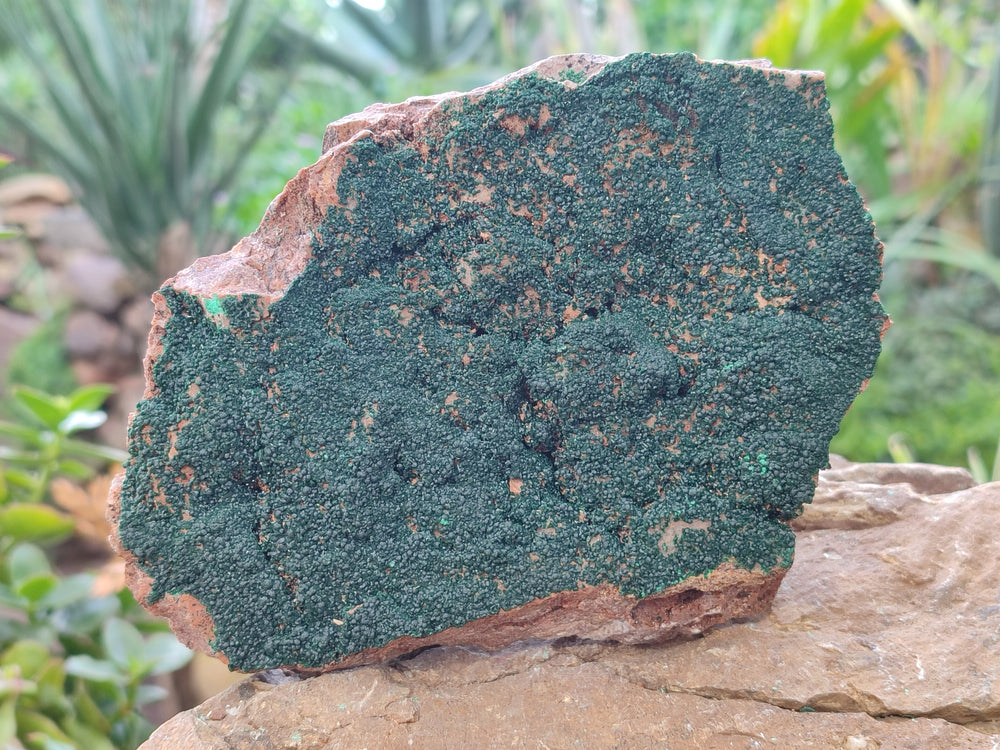 若者に人気のブランド Polished Polychrome From 3 x Forms Free Standing Jasper マジック：ザ・ギャザリング