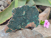 Natural Crystalline Botryoidal Malachite Specimens x 2 From Tenke Fungurume, Congo - Toprock Gemstones and Minerals 