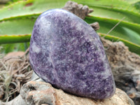 Polished Lepidolite Free Forms x 4 From Zimbabwe