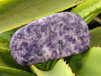 Polished Lepidolite Free Forms x 4 From Zimbabwe