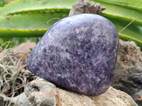 Polished Lepidolite Free Forms x 4 From Zimbabwe