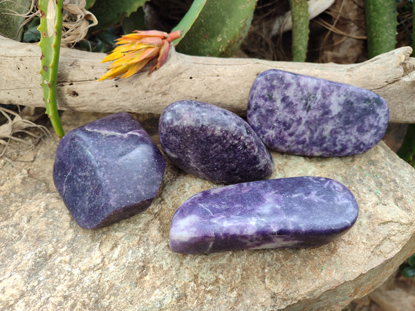 Polished Lepidolite Free Forms x 4 From Zimbabwe