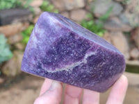 Polished Lepidolite Free Forms x 4 From Zimbabwe