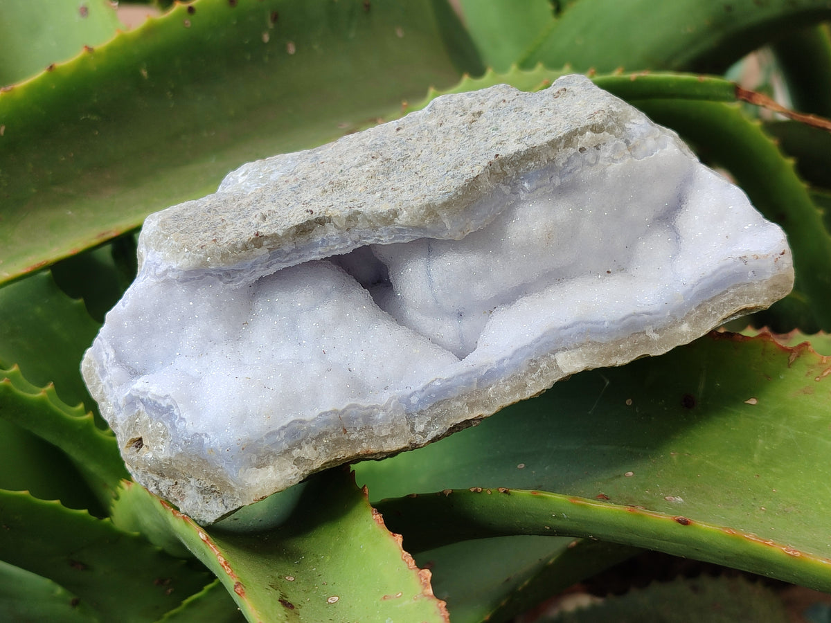 Natural Blue Lace Agate Geode Specimens x 6 From Nsanje, Malawi - Toprock Gemstones and Minerals 