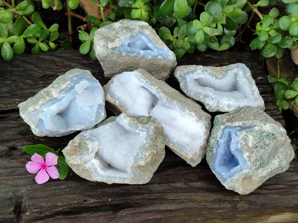 Natural Blue Lace Agate Geode Specimens x 6 From Nsanje, Malawi