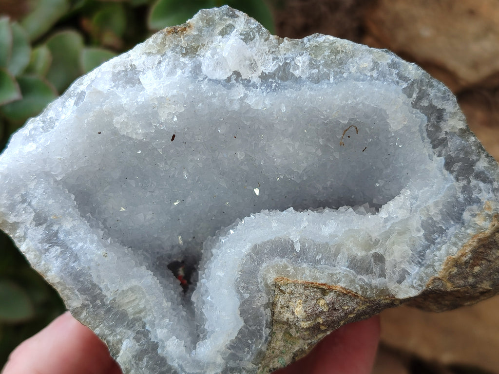Natural Blue Lace Agate Geode Specimens x 6 From Nsanje, Malawi - Toprock Gemstones and Minerals 