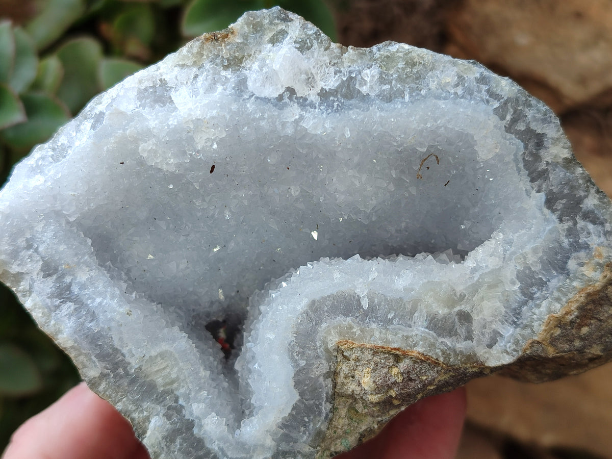 Natural Blue Lace Agate Geode Specimens x 6 From Nsanje, Malawi - Toprock Gemstones and Minerals 