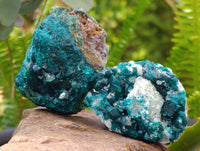 Natural Dioptase with Malachite and Chrysocolla On Dolomite Specimens x 6 From Likasi, Congo