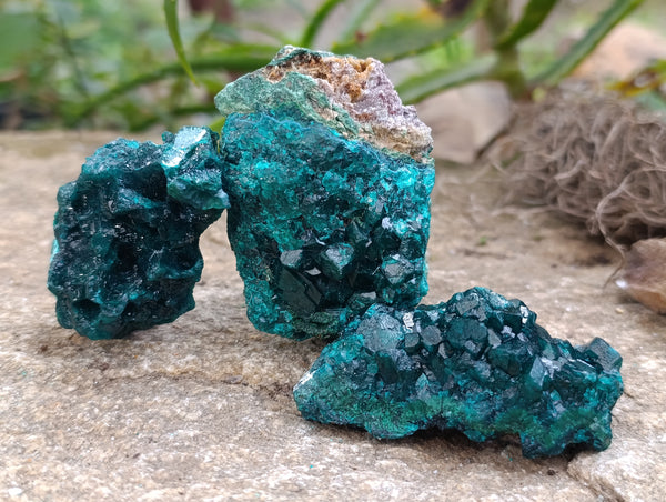 Natural Dioptase with Malachite and Chrysocolla On Dolomite Specimens x 6 From Likasi, Congo