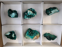Natural Dioptase with Malachite and Chrysocolla On Dolomite Specimens x 6 From Likasi, Congo