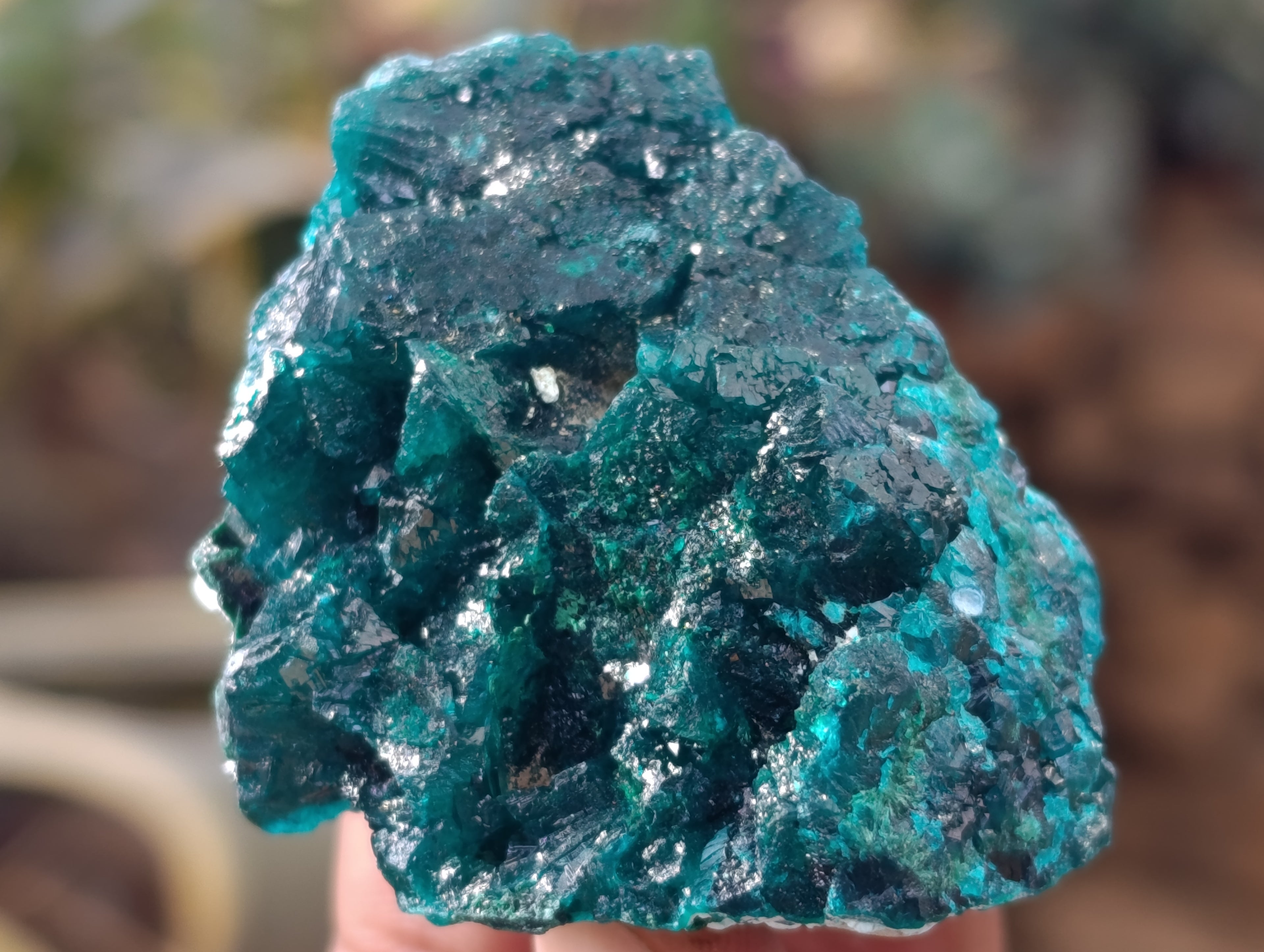 Natural Dioptase with Malachite and Chrysocolla On Dolomite Specimens x 6 From Likasi, Congo - Toprock Gemstones and Minerals 
