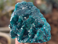 Natural Dioptase with Malachite and Chrysocolla On Dolomite Specimens x 6 From Likasi, Congo