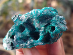 Natural Dioptase with Malachite and Chrysocolla On Dolomite Specimens x 6 From Likasi, Congo - Toprock Gemstones and Minerals 