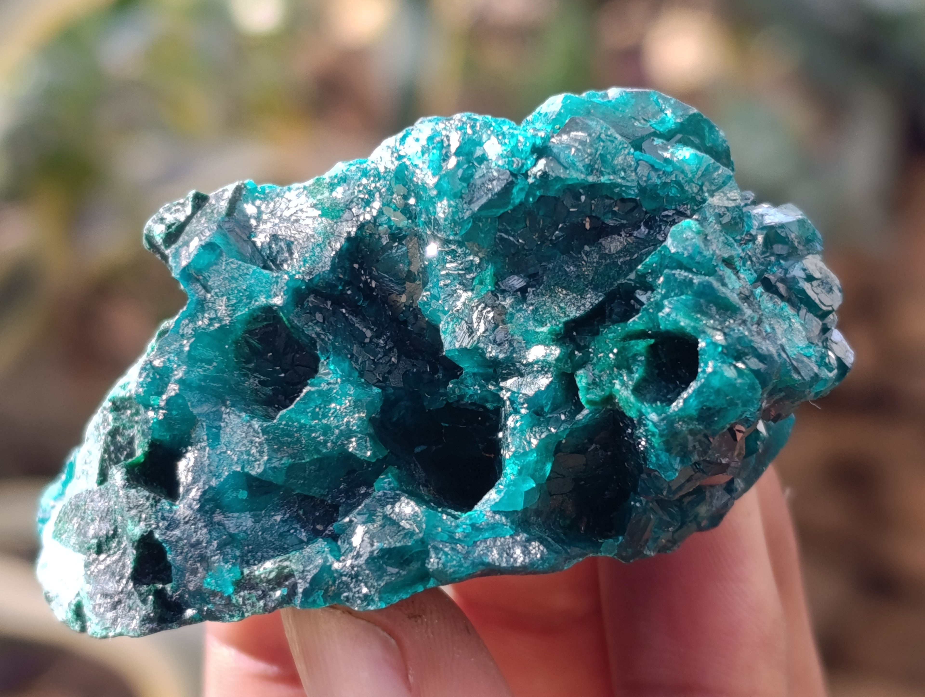 Natural Dioptase with Malachite and Chrysocolla On Dolomite Specimens x 6 From Likasi, Congo - Toprock Gemstones and Minerals 