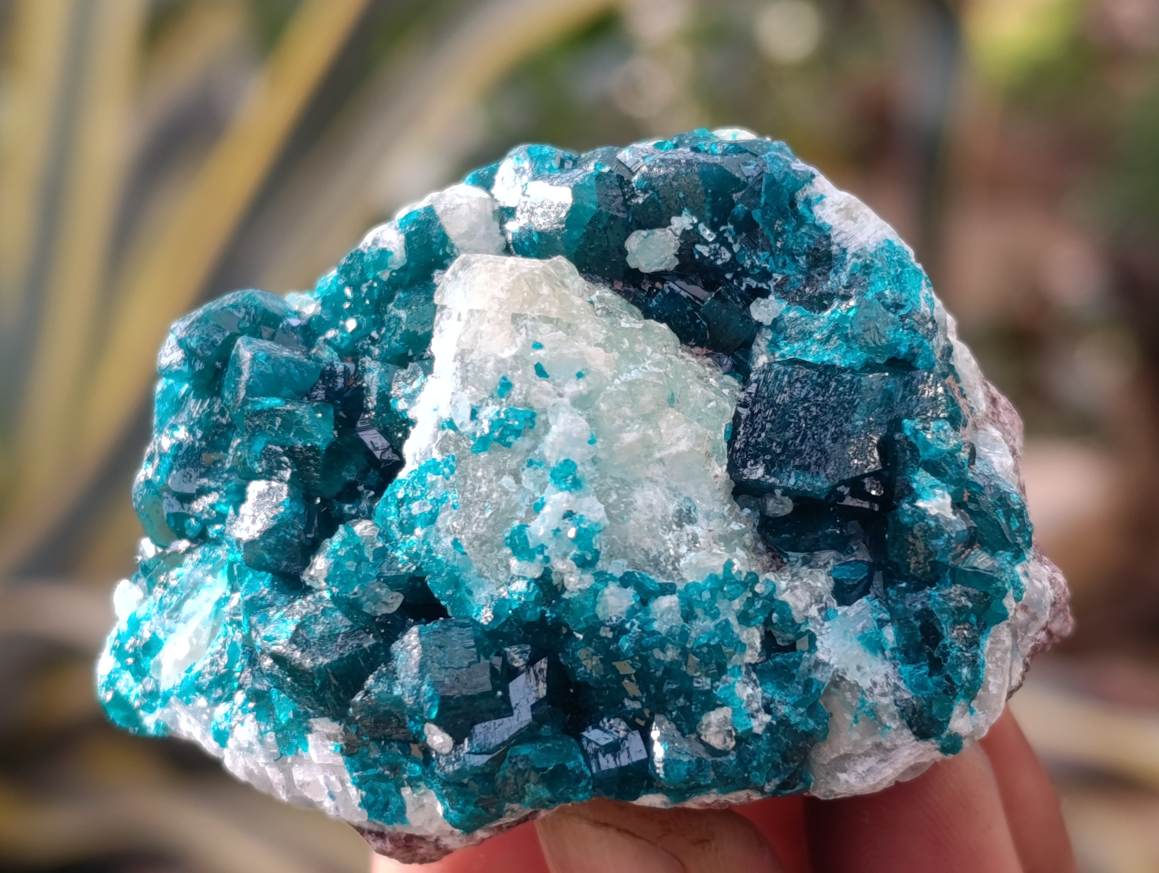 Natural Dioptase with Malachite and Chrysocolla On Dolomite Specimens x 6 From Likasi, Congo - Toprock Gemstones and Minerals 