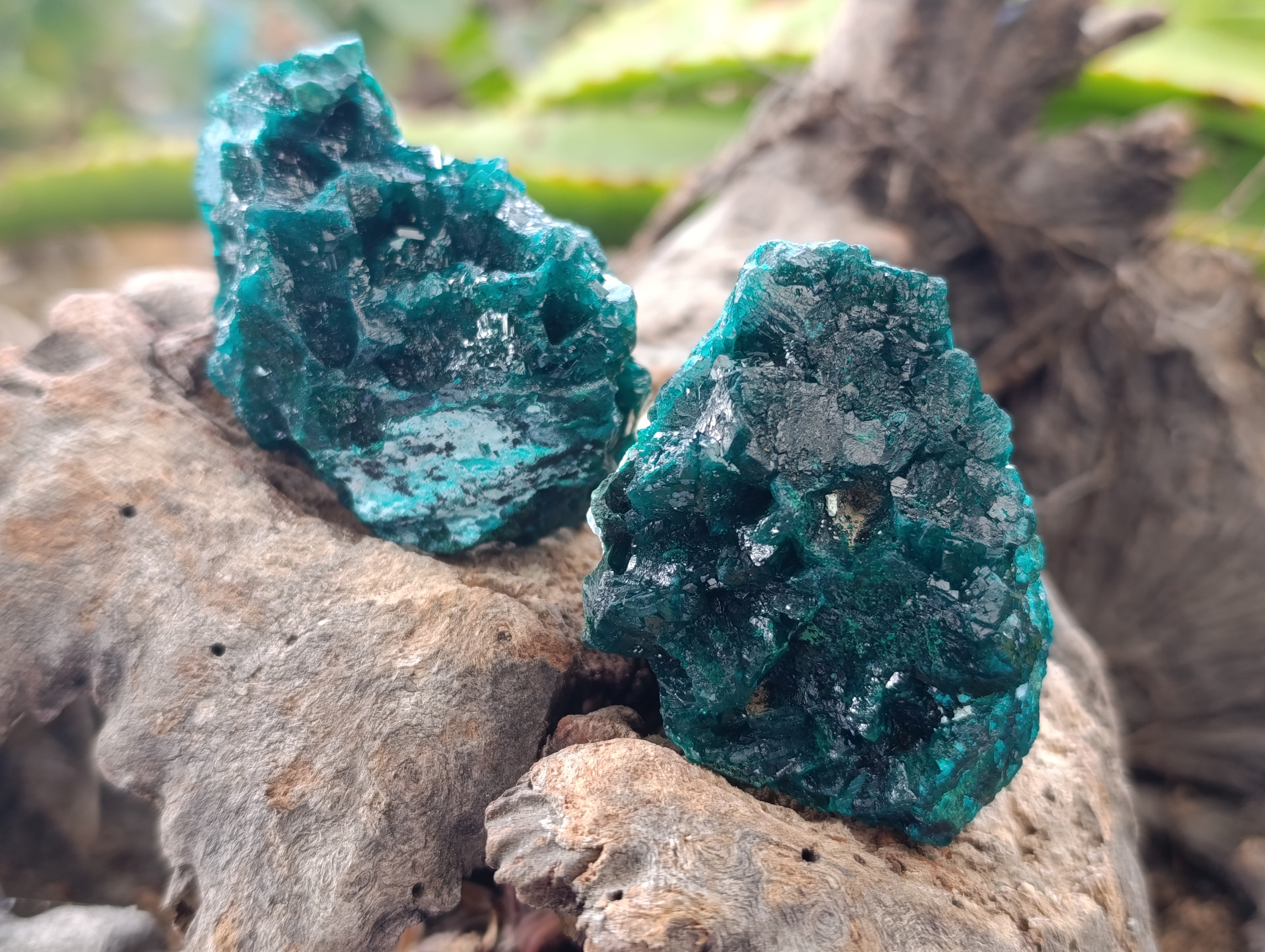 Natural Dioptase with Malachite and Chrysocolla On Dolomite Specimens x 6 From Likasi, Congo - Toprock Gemstones and Minerals 
