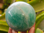 Polished Green Fluorite Spheres x 2 From Madagascar - Toprock Gemstones and Minerals 