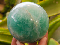 Polished Green Fluorite Spheres x 2 From Madagascar