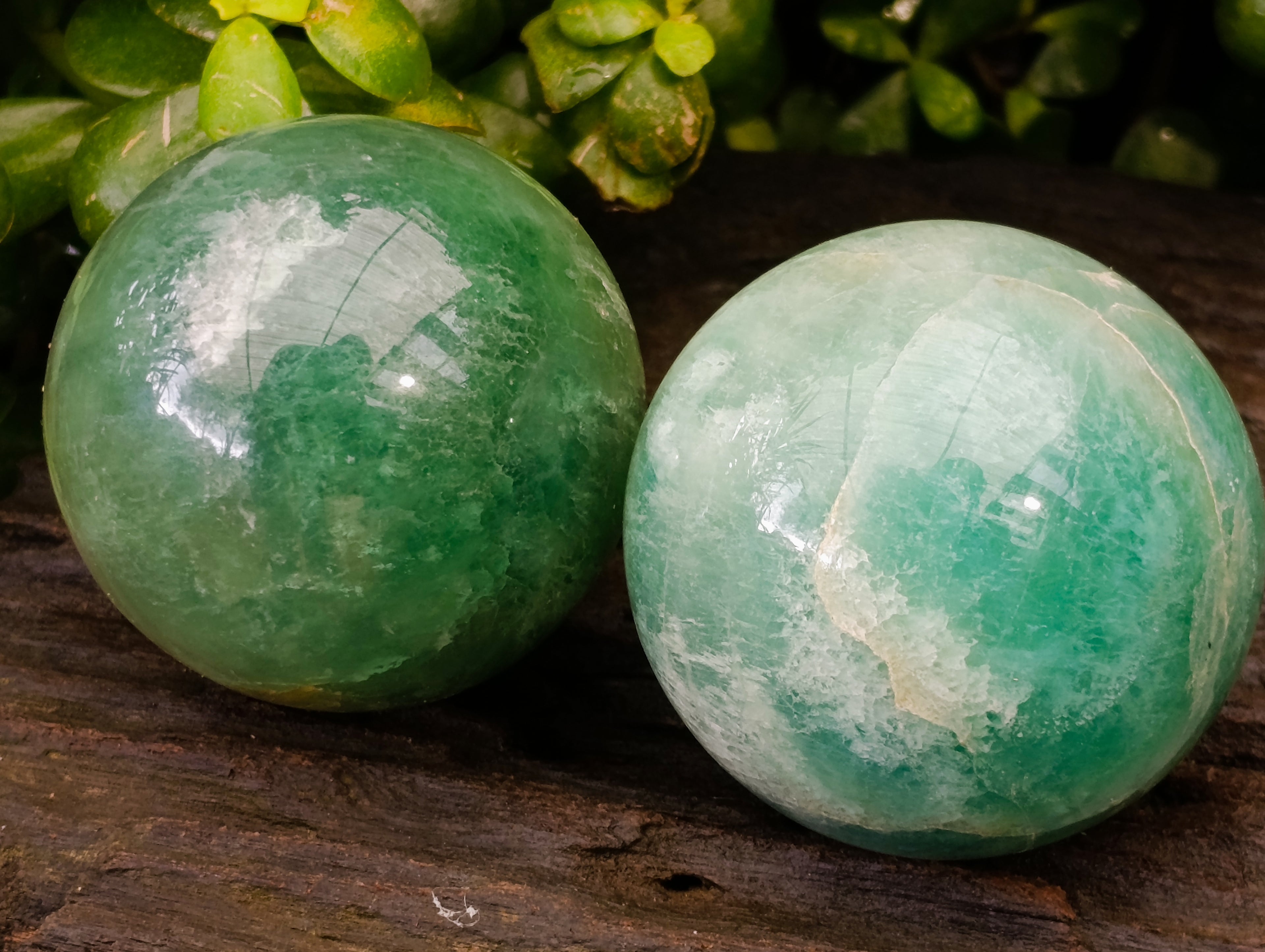 Polished Green Fluorite Spheres x 2 From Madagascar - Toprock Gemstones and Minerals 