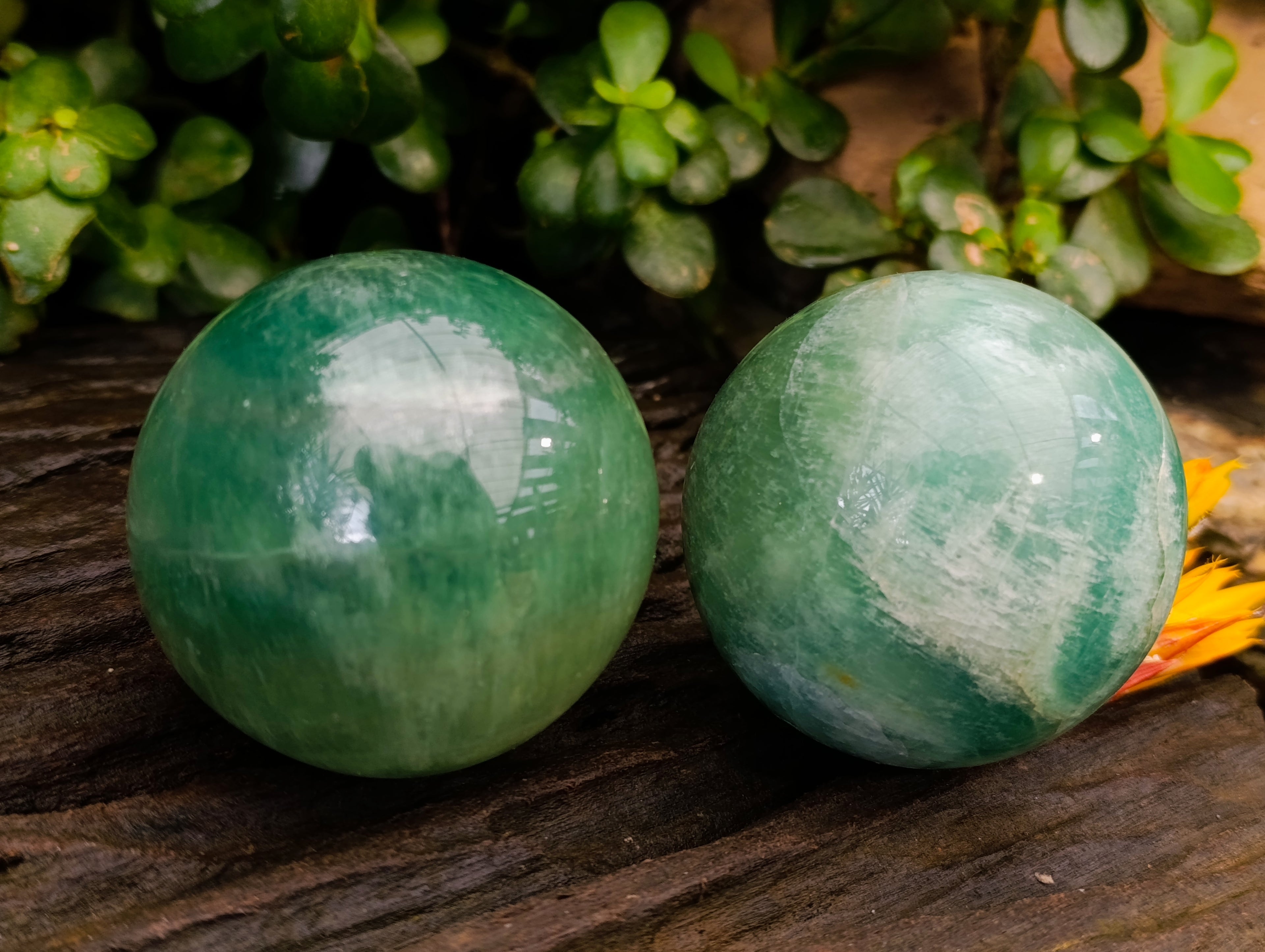 Polished Green Fluorite Spheres x 2 From Madagascar - Toprock Gemstones and Minerals 