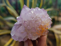 Natural Dark Purple Amethyst Spirit Quartz Clusters x 12 From Boekenhouthoek, South Africa - Toprock Gemstones and Minerals 